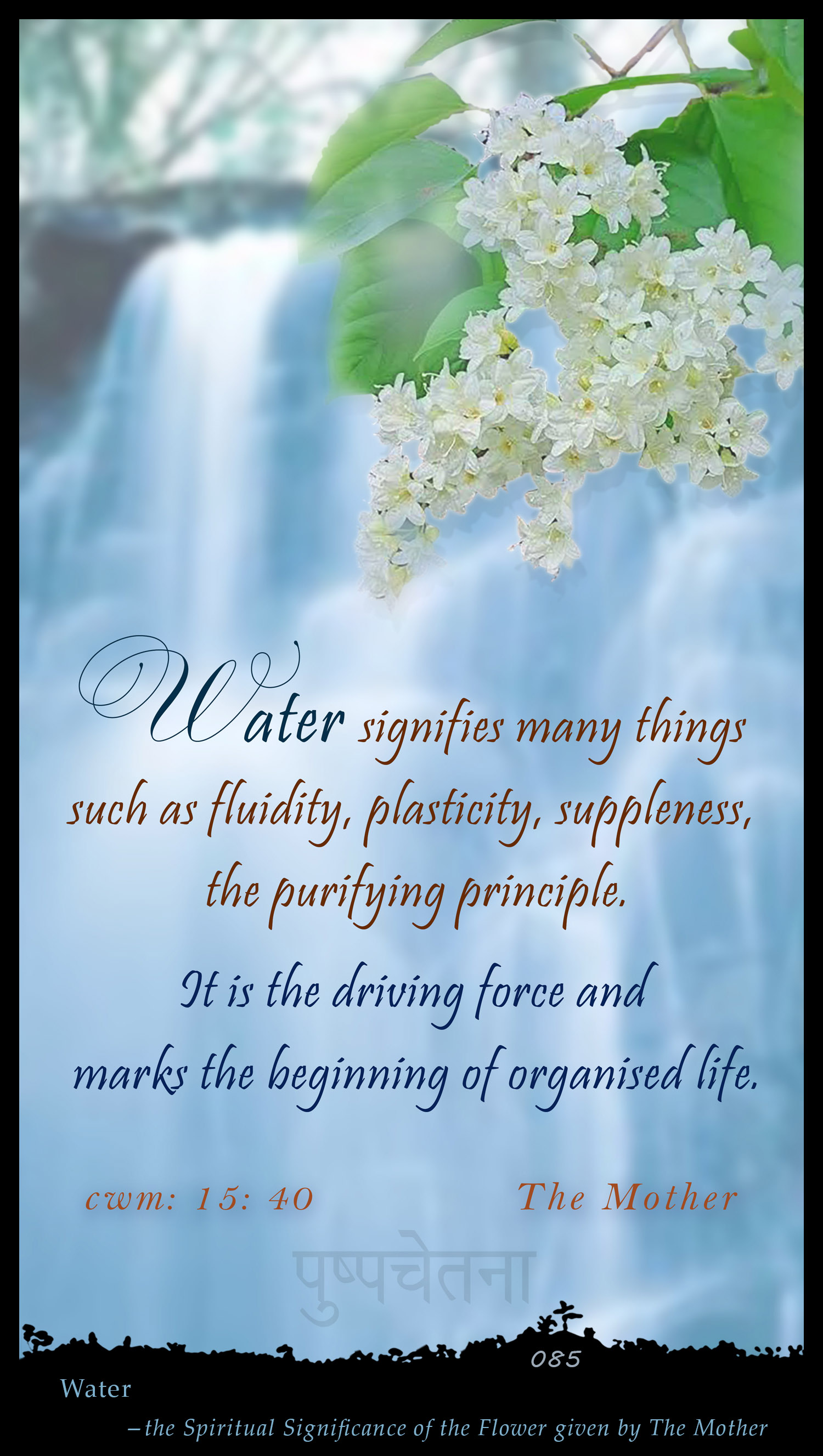 Water